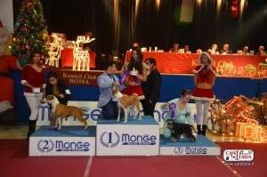 Il Podio Junior Handling dell'Esposizione Internazionale di Roma 2014 del Kennel Club Roma